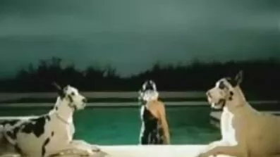 Kone cums hårdt I fuck med en lesbiske sexfilm gift fyr